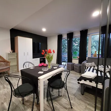 Centrum W Parku Przy Katedrze Nr 7 Apartment Kwidzyn