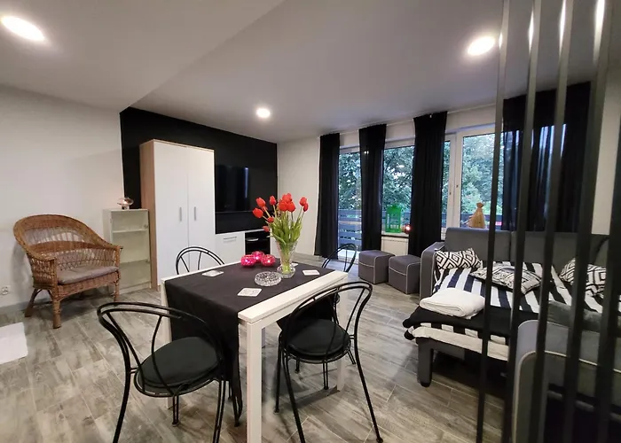 Parkowe Nr 7 Апартаменты Квидзын