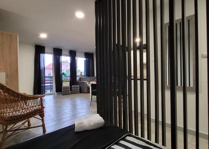 Апартаменты Parkowe Nr 7 Квидзын