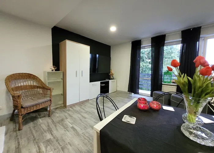 Parkowe Nr 7 Апартаменты