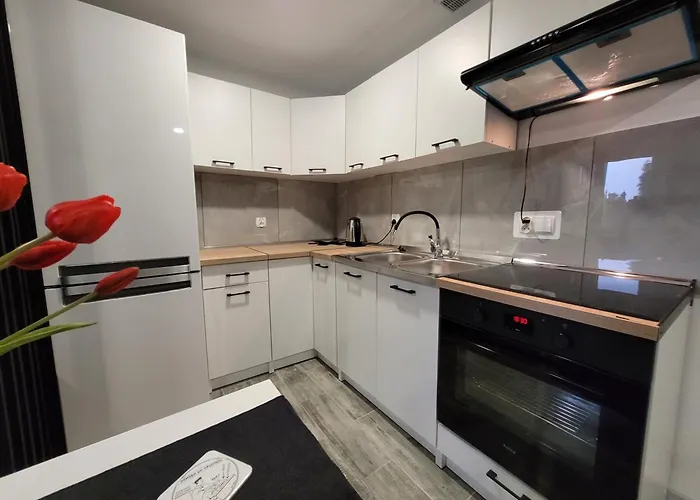 Апартаменты Parkowe Nr 7 *